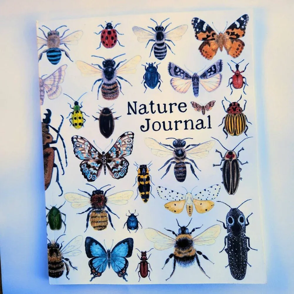 NEW Nature Journal Drawing Book Kids Workbook for Children Insects Insect Bees B